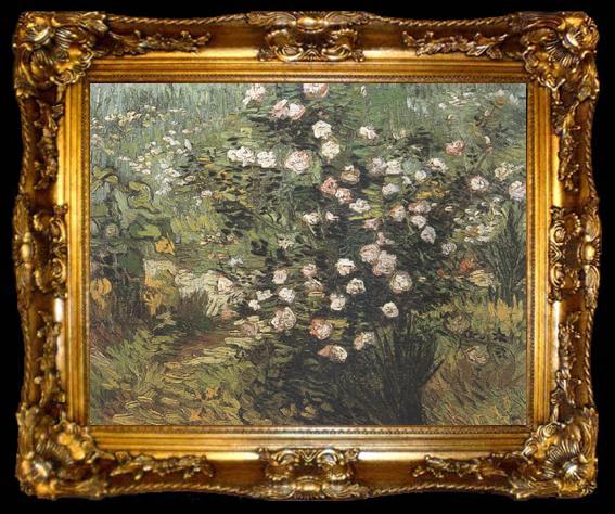 framed  Vincent Van Gogh Rosebush in Blossom (nn04), ta009-2